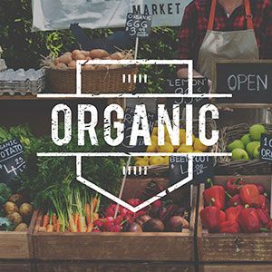 Organic Food US