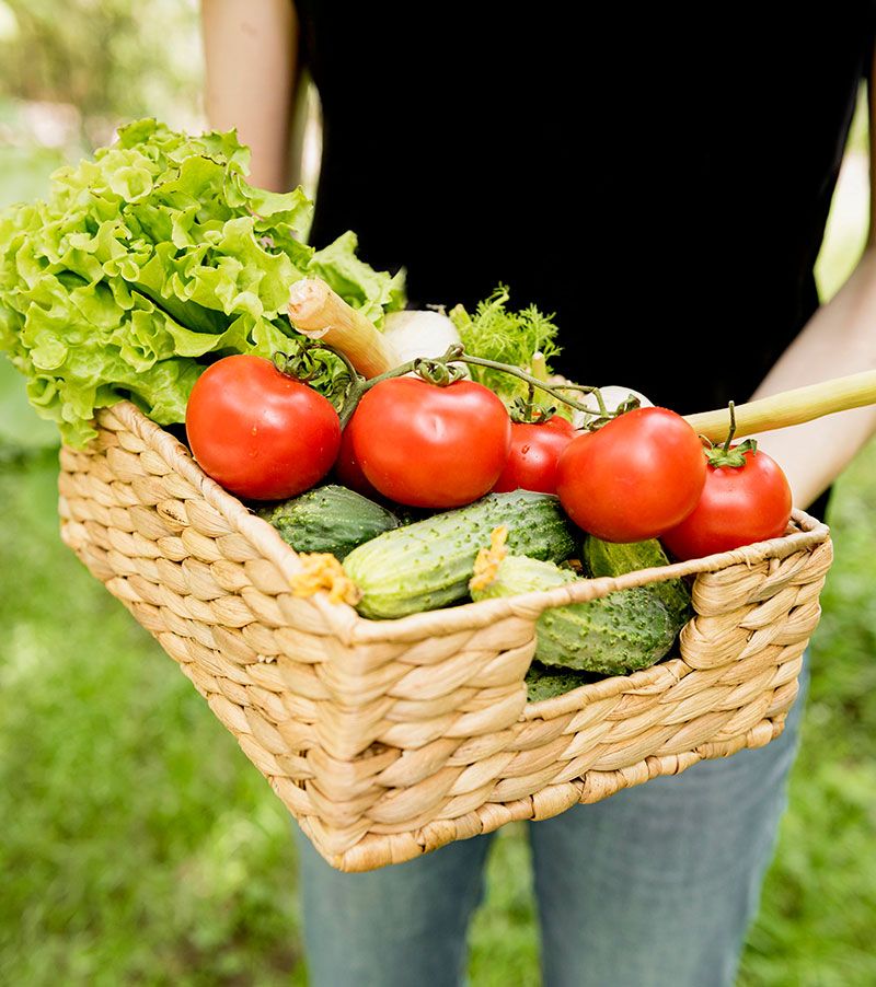 Organic Food grow