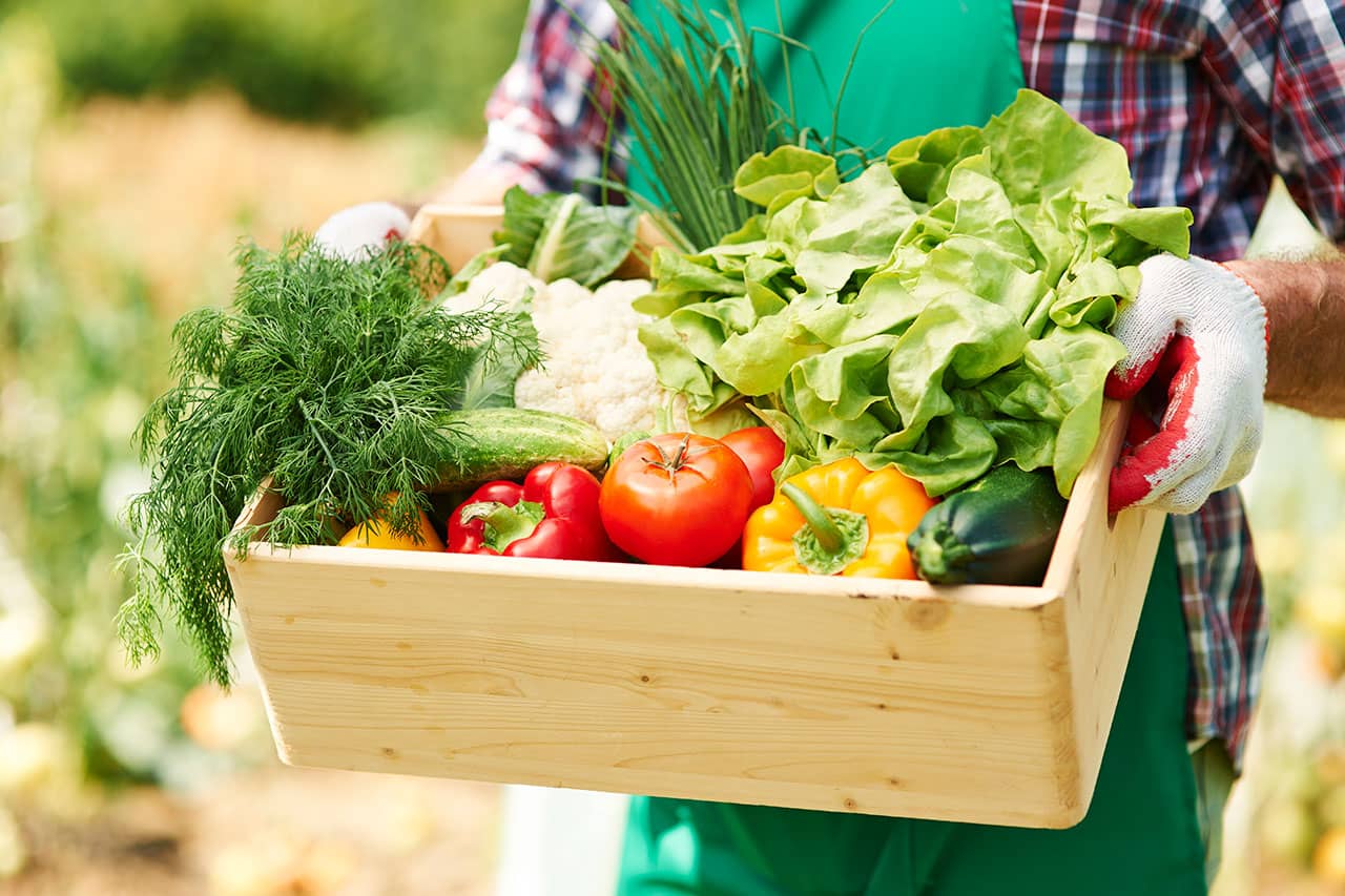 Organic Food Affiliate Programs